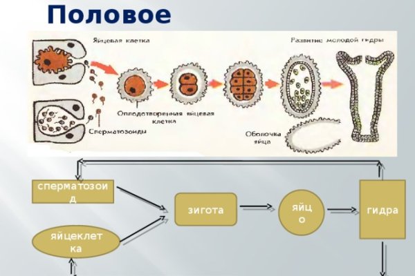 Кракен кз