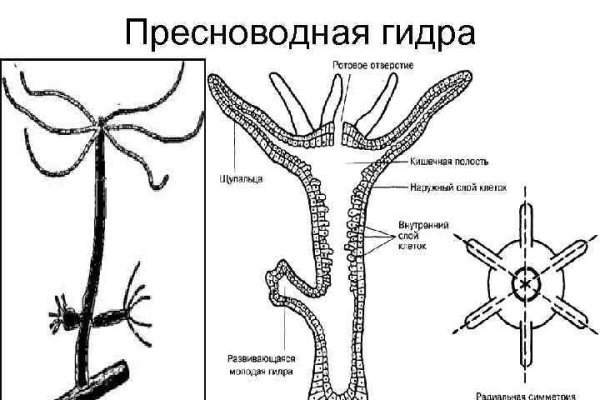 Кракен даркнет рабочая